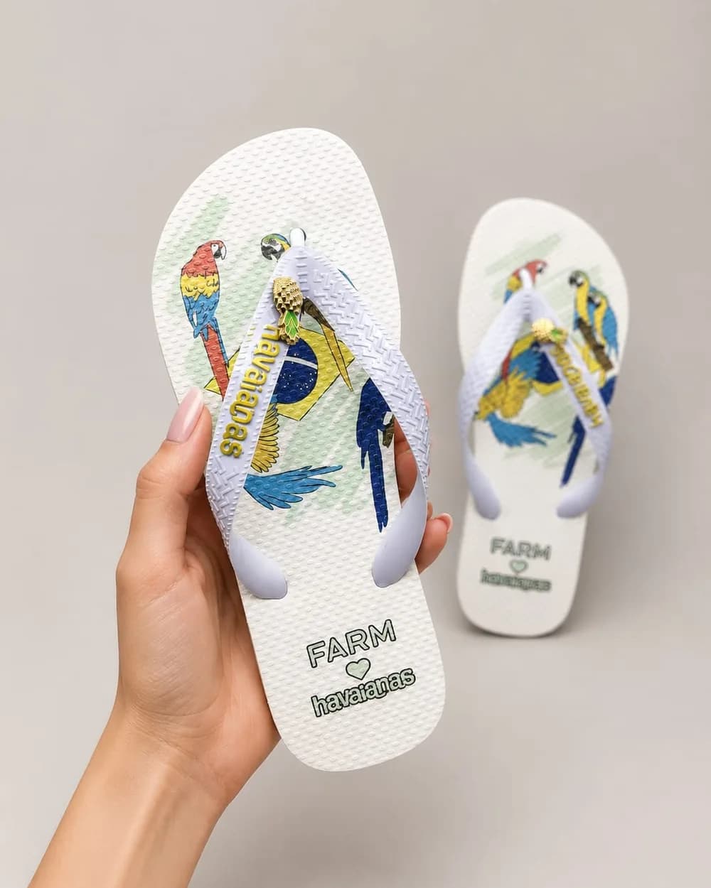 Havaianas Farm arara
